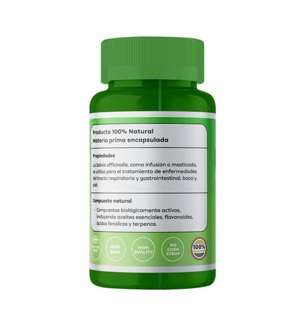 Salvia Officinalis - Image 3