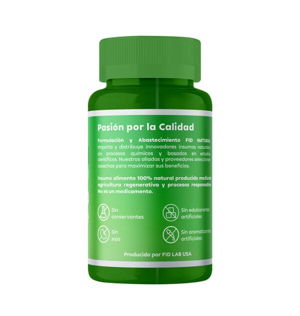 Salvia Officinalis - Image 2